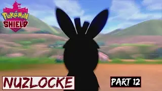 Route 3! Blind Nuzlocke part 12 | Pok&eacute;mon Shield