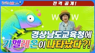 알통뉴스(카멜레온) - 경상남도교육청