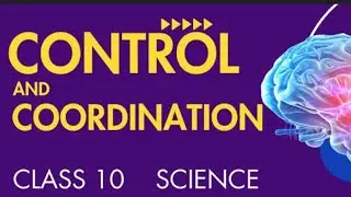 !! Control and coordination !! (Bilogy - 10th ) Part :- 2 
