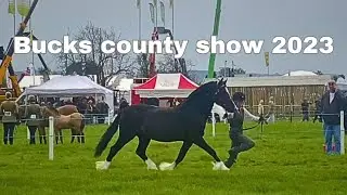 BUCKS COUNTY HORSE SHOW 2023 | Welsh section D in hand showing | horse vlog