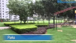 Icon Apartment DLF Phase 5 Gurgaon