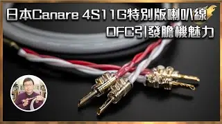 [毒海浮沉]日本Canare 4S11G特別版喇叭線 OFC引發膽機魅力｜兩聲道｜2022-12-29