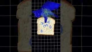 why bread turns moldy explained by a duck 🦆 #fyp #bread #duck
