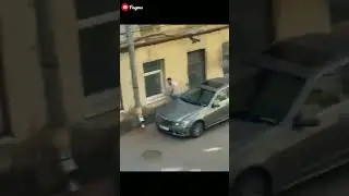 Crows attack a person because they wanted to drive them away from his car