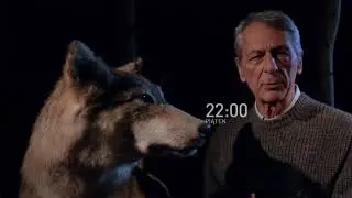 TROPEM WĘDRUJĄCYCH WILK&Oacute;W 23 lutego o 22:00 w Polsat Doku