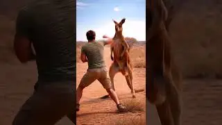 Кенгуру Схватил Его Собаку! 🦘 Смелое Противостояние в Австралии 🇦🇺