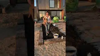 Part. 3 How to create a No Dig vegetable and flower bed
