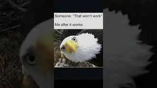memes-part 14