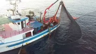 Pesca al cianciolo