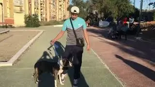 Fake fredey فريدي - FAKE LIFE - الحياة المزيفة [official music video]