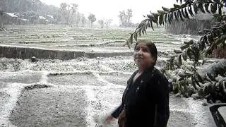 Snow fall at Kangra
