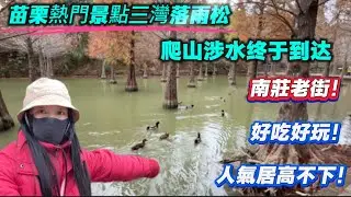 苗栗熱門景點三灣落雨松，爬山涉水終於到達南莊老街，好吃好喝，人氣居高不下！