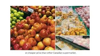 Grocery shopping for a week on a budget in Toronto