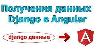 Получения данных с Django в Angular (services)  Django/django rest framework Урок 12