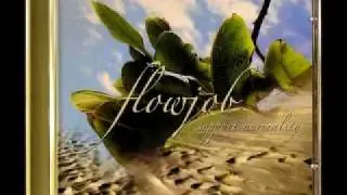 Flowjob - The Are Not Alone / Progressive Trance from Denmark