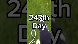 TOUCHING GRASS PART 247/365 #touchinggrass