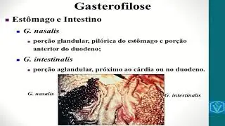 Gasterofilose
