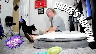 Vader's NapCam Live(Replay): Cat Morning Chaos, Belly Rubs, Jealousy, & Goofy Playtime 😂🐾🐱