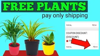 Free plants || Free plants online || Nurserylive free plants || free products || free shopping ||