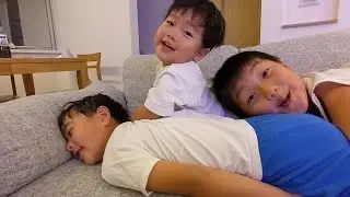 救急車で運ばれたいどんちゃん救急ごっこじゃれ合う三兄弟　＃1491　ひなごんおいちゃんどんちゃん三兄弟vlog
