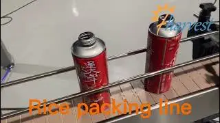 Automatic rice,seeds,corn seed,bean,filling capping packaging line,canned food filler capper machine