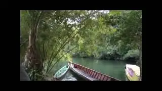 Pesca Colombia, Mojarra azul con Alejandro Linares, Capítulo completo