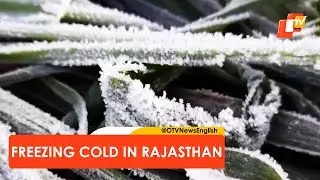 Ice Cold Winter In Rajasthan Freezes Everything, Temperature Dips To Sub-Zero Levels | OTV News