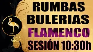 🦩FLAMENCO SÉSION RUMBAS & BULERIAS JUERGAS 10.30h SIN ANUNCIOS MODERNAS Y LAS DE TODA LA VIDA OLEE!!