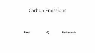 What is the carbon footprint of a flower?