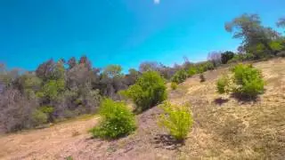 Cruising with New DAL Quadblades