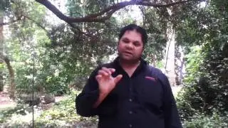 Adelaide Aboriginal Cultural Experience tour with Bookabee, Adelaide, South Australia