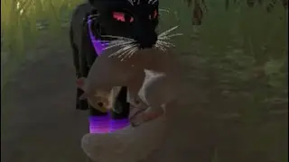 Как ловить зверей в котах воителях #How to catch animals in warrior cats#roblox #cats #robloxgames