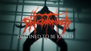 Phlebotomized - Destined To Be Killed (Official Video)