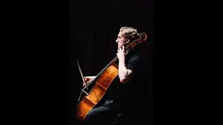 Flamenco