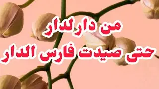 من انظف واجمل القصص بين الفقر والصبر✅من دار لدار حتى صيدت فارس الدار♥️