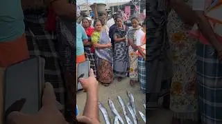 2900 rupees 🐟fish auction call 🐠 #trending #viralshorts #fishing #videos #vizhinjam #port