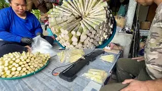 เผยขั้นตอนการทำหน่อไม้อัดถุง สูตรของสาวภูไท