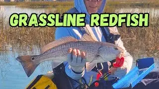 Slow Moving Bait Presentation *Produced* Big Fall Redfish on the Flats