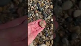 Do you consider them hag stones without a hole all the way through?