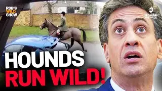 Hunts Exposed: Police Raids & Miliband’s Home Invasion! / Rob's Wild Show