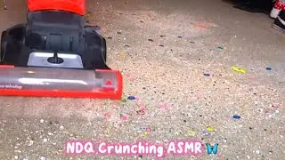 Vacuum ASMR | Vacs Vs Crunchy Mixes 💥✨ | Throwback Crunch Variety : Episode 3 | NaturalDirtQueen 🦋