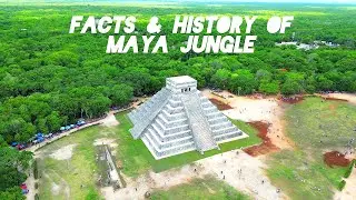 Maya Jungle Civilization Facts and History Explained