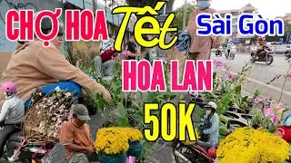 Ngở Ngàng Hoa Lan 50k siêu đẹp, cúc 200k/cặp Náo Nhiệt Chợ Hoa Tết Quận 10 