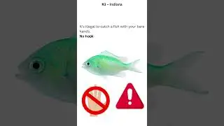 Real US Laws You Thought Were Jokes #WeirdLaws #USLaws #CrazyFacts #StrangeLaws #UnbelievableLaw