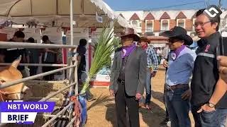 NAN HOLDS ANNUAL PROVINCIAL LIVESTOCK FAIR TO BOOST BEEF CONSUMPTION