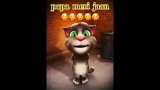 papa meri jaan | animal movie song | tom meme song | #trending #shorts #animal