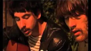 LOS REYES DEL FALSETE - TIFI REX