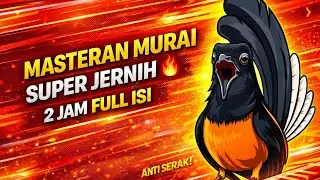 Masteran Murai Suara Jernih 2 jam full #suprionkicau #masteranmurai #masteranjernih #masteranburung