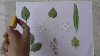 Spray Painting Ideas For Kids ll DIY ll Spray Painting With Toothbrush and Colours 