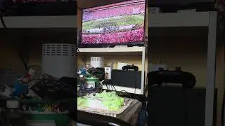 University of Georgia redcoat marching band halftime show performance on tv today